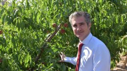 Miguel Ángel del Amor