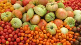 tomate, naranja y brócoli