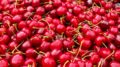 cerezas Navalinda