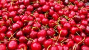 cerezas Navalinda
