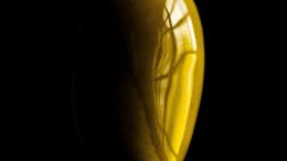 Oliva aceite