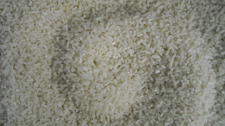 Arroz