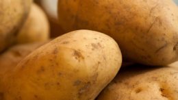 patata