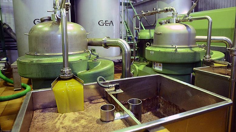 aceite