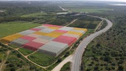 mallas fotoselectivas