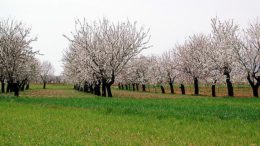 producción ecológica