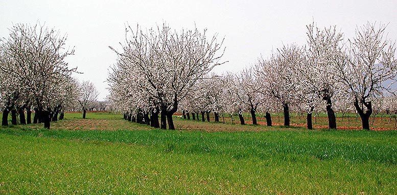 producción ecológica
