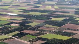 precio de las tierras de cultivo