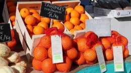 agricultura ecológica