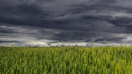 lluvias y tormentas en Navarra