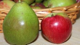 pera manzana cosecha 2018