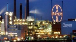 Bayer