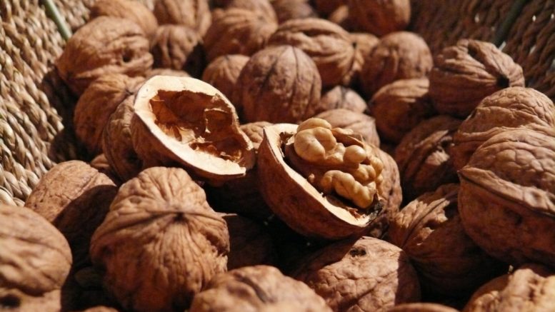 comer nueces