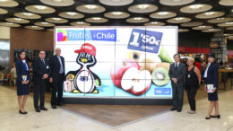 Frutas de Chile promoción España