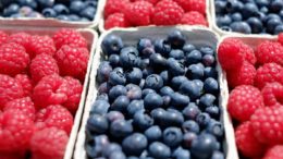 producción de frambuesa en Huelva