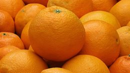 exportación hortofrutícola