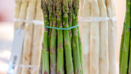 International Asparagus Days
