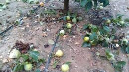 gota fría en la Comunitat Valenciana