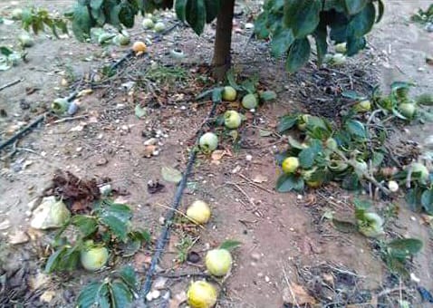 gota fría en la Comunitat Valenciana