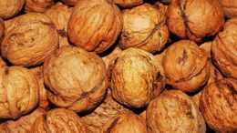 Walnut Attraction