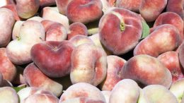 fruta de verano