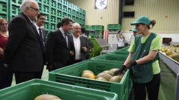 Castilla La Mancha melón agua