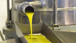 aceite de oliva virgen extra