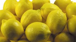 Embajadores de los cítricos murcianos