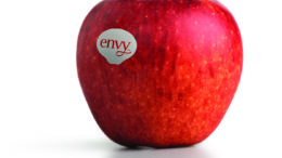envy