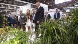 Iberflora y Eurobrico