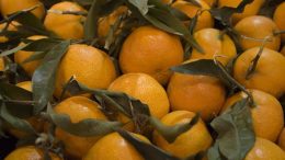 Mandarinas