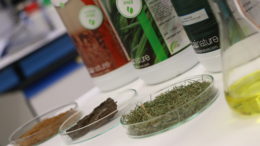 Idai Nature proyecto LIFE