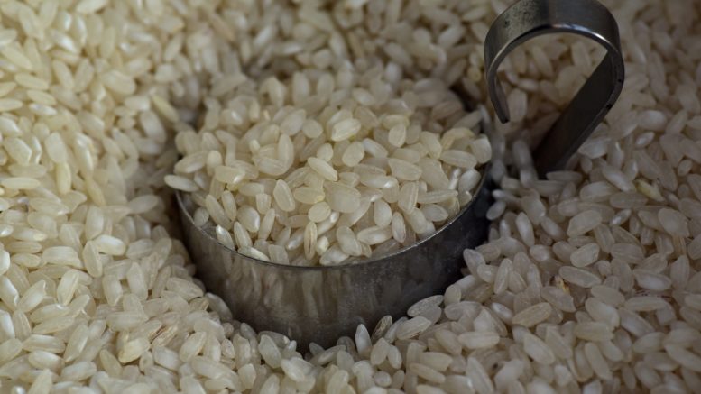 Pérdidas arroz redondo