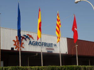 Agrofruit