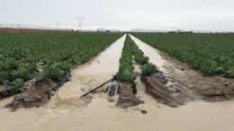 inundaciones en el Campo de Cartagena