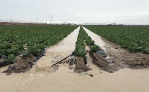 inundaciones en el Campo de Cartagena