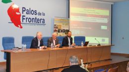 riego de frutos rojos