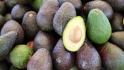 aguacate