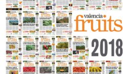 Valencia Fruits