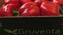 Gruventa
