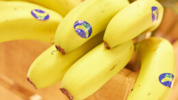 Plátano de Canarias