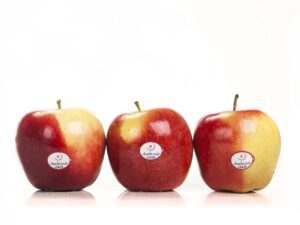 Ambrosia™