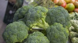 El brócoli en España