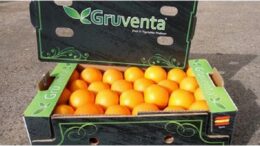 Gruventa