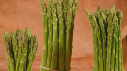 espárrago verde español