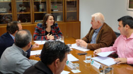 Reunión consejera andaluza