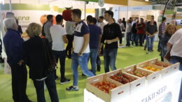 Infoagro Exhibition
