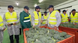 cultivo ecológico