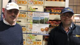 Las naranjas IGP en China