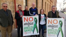 Décimo brote de Xylella